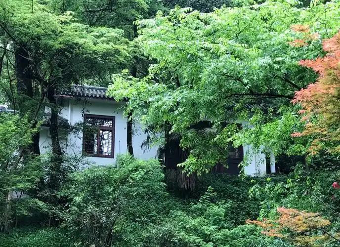 Yuelu Mountain & Orange Isle Scenic Area